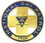 NSP Logo