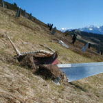 Snowgripper removed by a slide, is downslope of original anchors.
