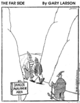 Farside