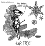 Hoarfrost