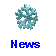 SNOW AVALANCHE NEWS