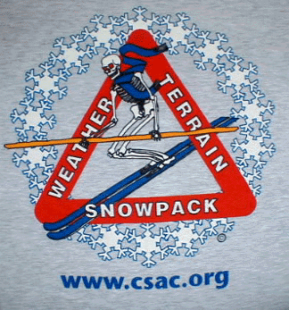 Skiing Skeleton Logo Shirt!